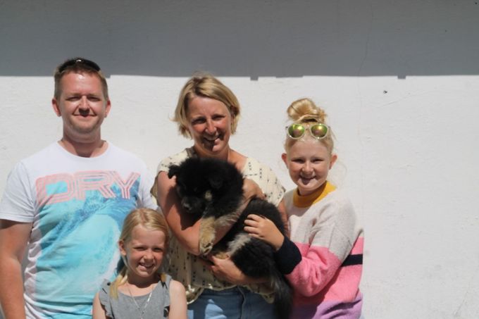 29. juni 2019.
Hvalp nr. 2. Han - Elmo.
Elmo er flyttet til Valby, hvor han skal hygge sig hos Fam. Juhl Nielsen.
Elmo hedder nu Alfred.